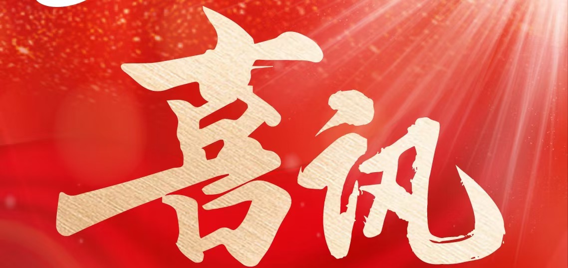 喜讯丨欧博游戏健康再度上榜2024年重庆民企科技创新指数100强